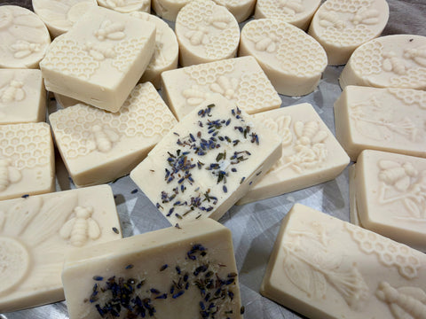 Eucalyptus Drift — Cucumber & Shampoo Ginger