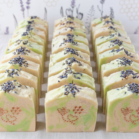 Cucumber & Shampoo Ginger - Cactus Reverie