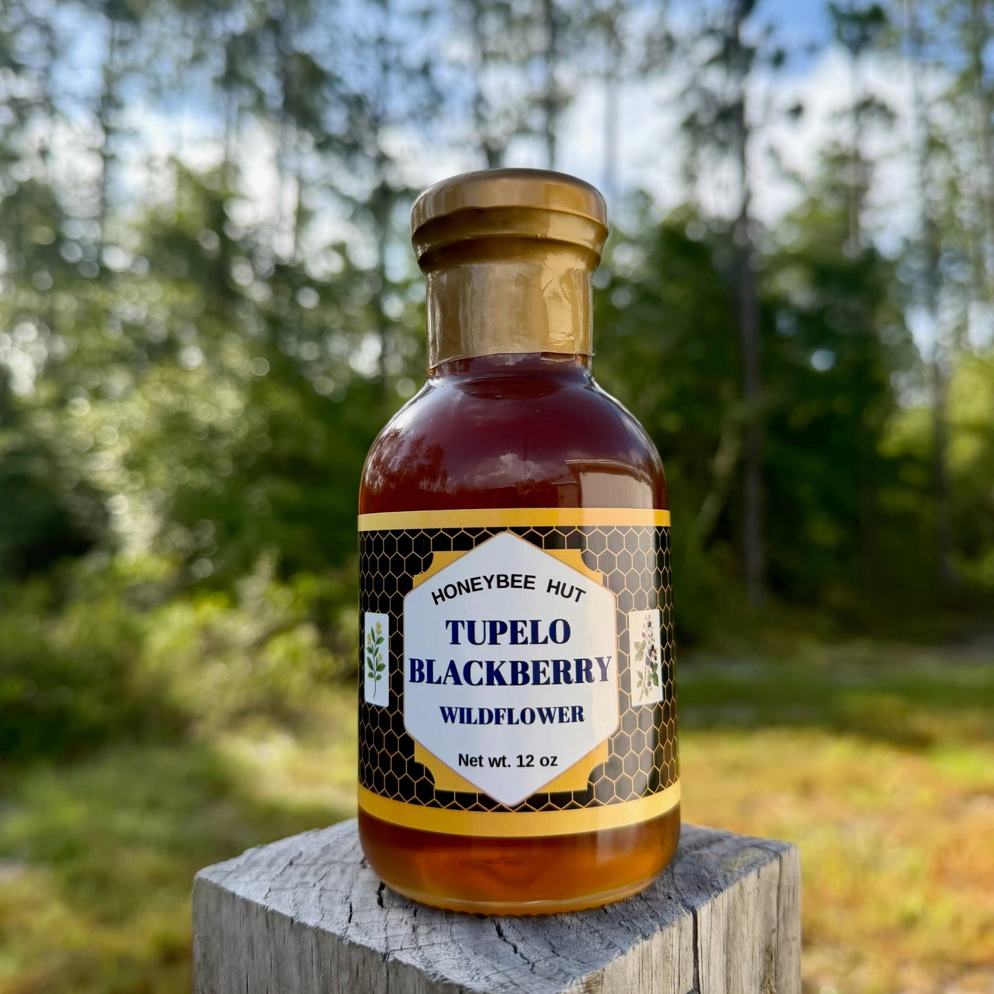 Tupelo Blackberry Wildflower Honey